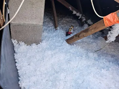 Image de gironde isolation