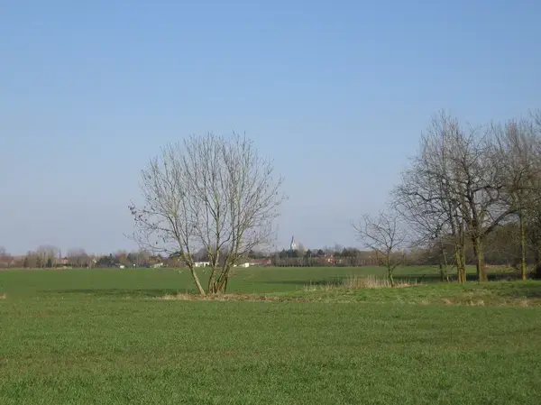 Ravalement Façade Isolant Entreprise isolation extérieure Aubers