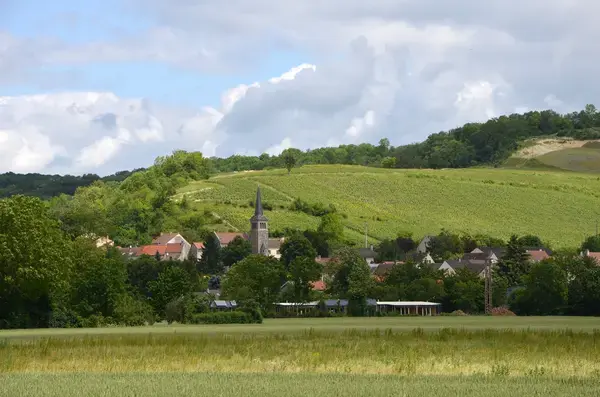 Ravalement Façade Isolant Entreprise isolation extérieure Brasles