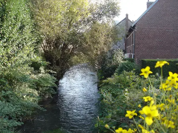 Ravalement Façade Isolant Entreprise isolation extérieure Déville-lès-Rouen