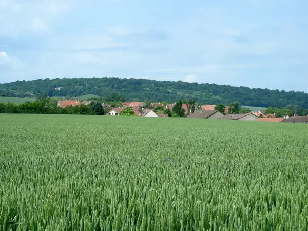 Ravalement Façade Isolant Entreprise isolation extérieure Fléville-devant-Nancy