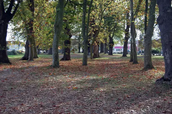 Ravalement Façade Isolant Entreprise isolation extérieure Idron