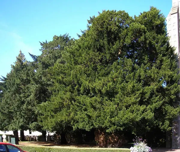 Ravalement Façade Isolant Entreprise isolation extérieure La Lande-Patry