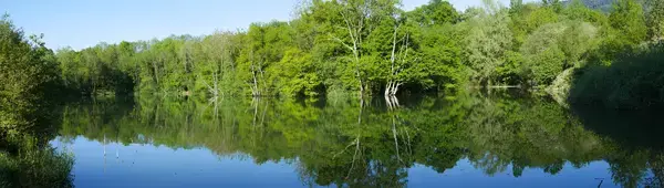 Ravalement Façade Isolant Entreprise isolation extérieure Lyaud