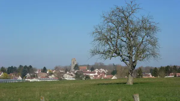 Ravalement Façade Isolant Entreprise isolation extérieure Presles-en-Brie