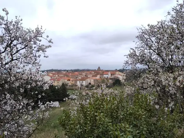 Ravalement Façade Isolant Entreprise isolation extérieure Trouillas